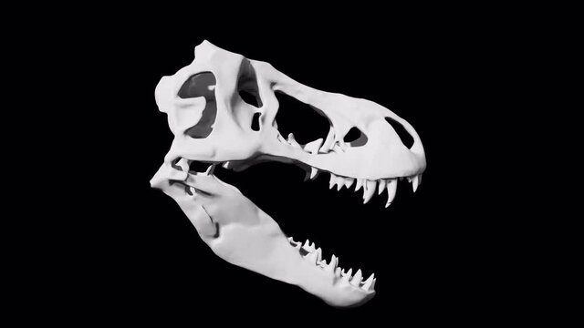 Dinosaur Skull Sculpture Glitch Rotation Loop Animation 4K UHD on Transparetn Background