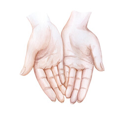 Fototapeta premium begging hands. Women's hands. Watercolor illustrations. Concept, health, beauty, kindness