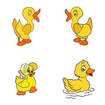 duck illustration clipart