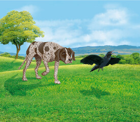  chien, en arrêt, braque, corbeau  ,  mâle, femelle, animal de compagnie, brun, isolé, mammifère, chiot, race, blanc, de race, court, portrait, chasse, chassant, joli, braque de weimar à poil court  © behzadillustrations