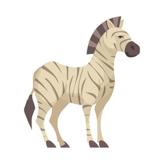 Zebra Flat Illustration