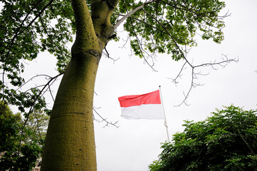 Flag of Monaco on a flagpole in the Park in Monaco-Ville. Jardin des Pêcheurs. Monaco.