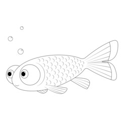 Black-and-white celestial eye goldfish