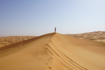 Fototapeta na wymiar Dubai Wüste