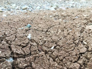 soil in the ground