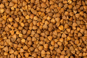 Background of fresh buckwheat groats close-up. Healthy eating. Texture.