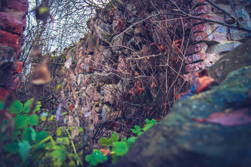 заброшенные места