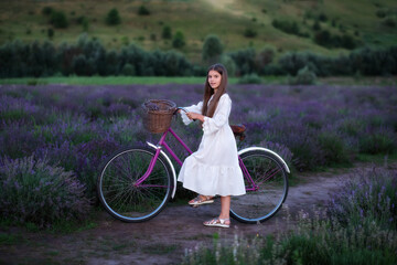 beautiful little girl in dress with bouquet flowers lavender having fun in field with retro bicycle and basket. Girl child collect lavender. girl walking her bicycle at lavender farm at sundown