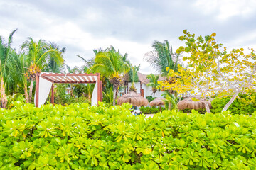 Fototapeta na wymiar Resorts and tropical nature landscape view Holbox Mexico.