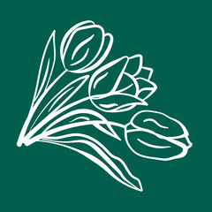 Flowers Tulips drawn with a white line by hand. Vector drawing of flowers with one stroke without filling. All strokes are editable.