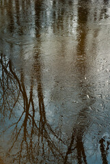 538-69 Ice and Reflection Patterns on Spring Creek