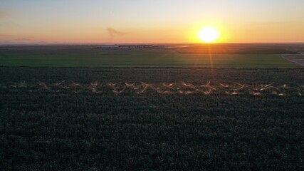 Cinematic view of agricultural field at sunset.