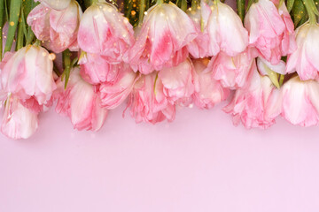 Creative spring background composition colorful flowers on pink background. Minimal holiday concept.