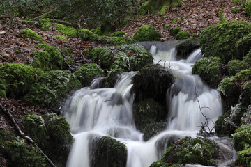 Naklejka premium une petite cascade entre rochers et mousse sur un ruisseau en hiver