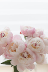 Romantic peonies on a light background. Feminine bouquet for a wedding or birthday.