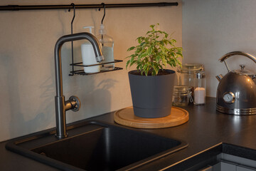 gray plumbing faucet in the interior of the kitchen