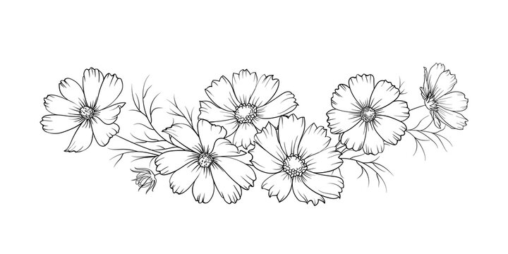 Black silhouette of a garland of cosmos flowers. Vector illustration on white background.