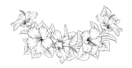 Vector drawing of a frame from hibiscus branches on a black and white background. Tropical flower.