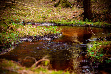 природа и заброшенное