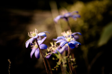 природа и заброшенное