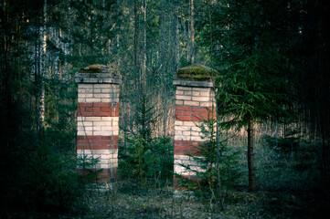 природа и заброшенное