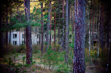 природа и заброшенное