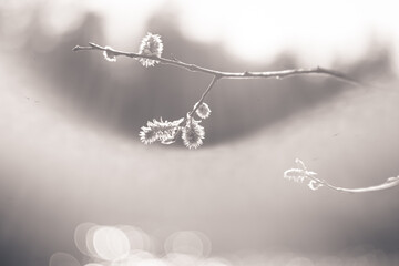 Природа и заброшенное