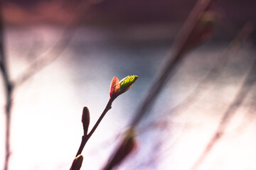 Природа и заброшенное