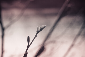 Природа и заброшенное