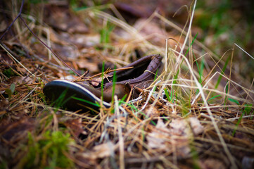 Природа и заброшенное