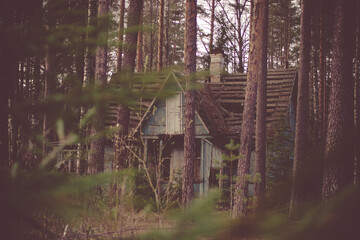 Природа и заброшенное