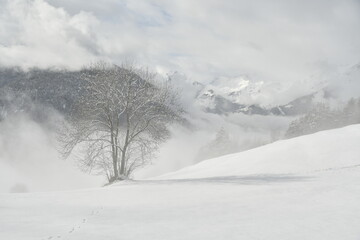 Paysage d'hiver - Alpes fran&ccedil;aises
