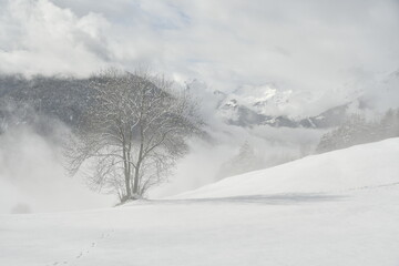 Paysage d'hiver - Alpes françaises