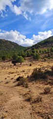 Landscape of the high peaks of the Sierra de Baza - Granada - obrazy, fototapety, plakaty