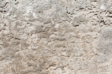 Obraz premium Cement wall background