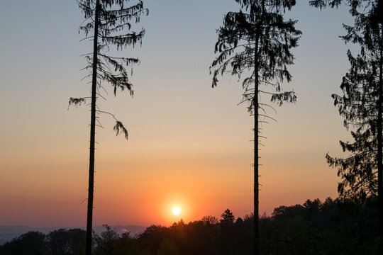 Sonnenaufgang an einem Berghang mit fast freier Sicht. Nur noch einzelne Nadelbäume stehen.