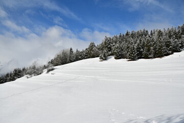 Fototapeta na wymiar Paysage d'hiver - Alpes françaises
