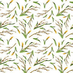 Spring pattern with daffodils