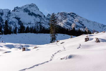 Fototapeta na wymiar Blick auf Watzmann Massiv im Winter bei Sonne udn Schnee mit Wind