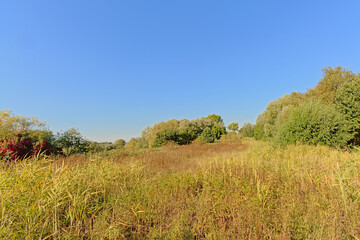 Autumn landscape in the marshes of Bourgoyen nature reserve, Ghentm Flanders, Belgium