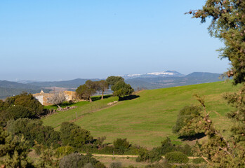 Old ruins on a field in Andalusia, south Spain