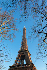 Eiffel Tower with bare trees