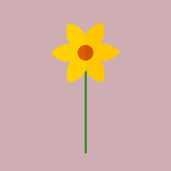 Yellow daffodil flower on background. Narcissus flower, Vector