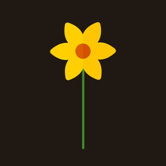 Yellow daffodil flower on background. Narcissus flower, Vector