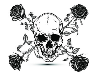 Hand drawn illustration of four crossed red roses and skull in tattoo style design. Black and white illustration.