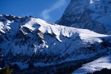 Swiss Alps with downhill slope of famous Lauberhorn Ski Race on a sunny winter morning. Photo taken...