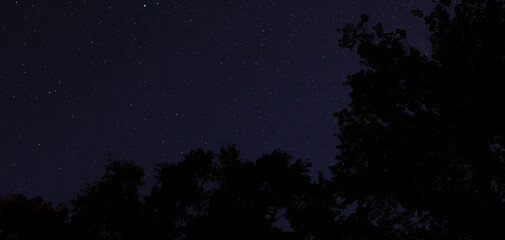 Stars on a calm evening in North Carolina