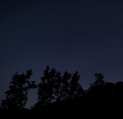 Star filled night with dark forest below