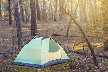 closeup touristic tent on forest glade, touristic travel background