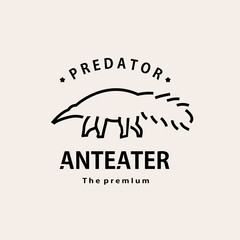 Fototapeta na wymiar vintage retro hipster anteater logo vector outline monoline art icon
